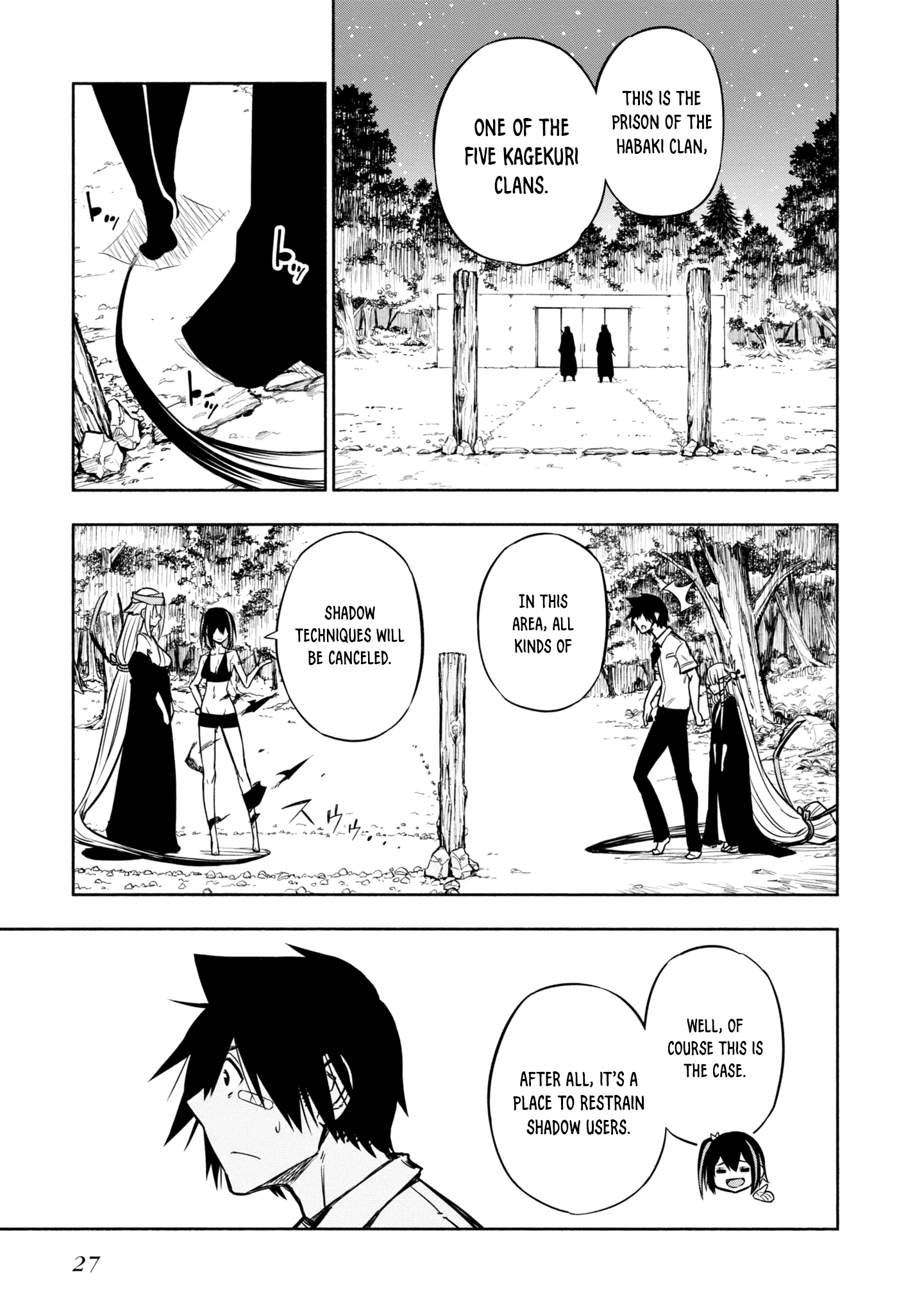 Page 27