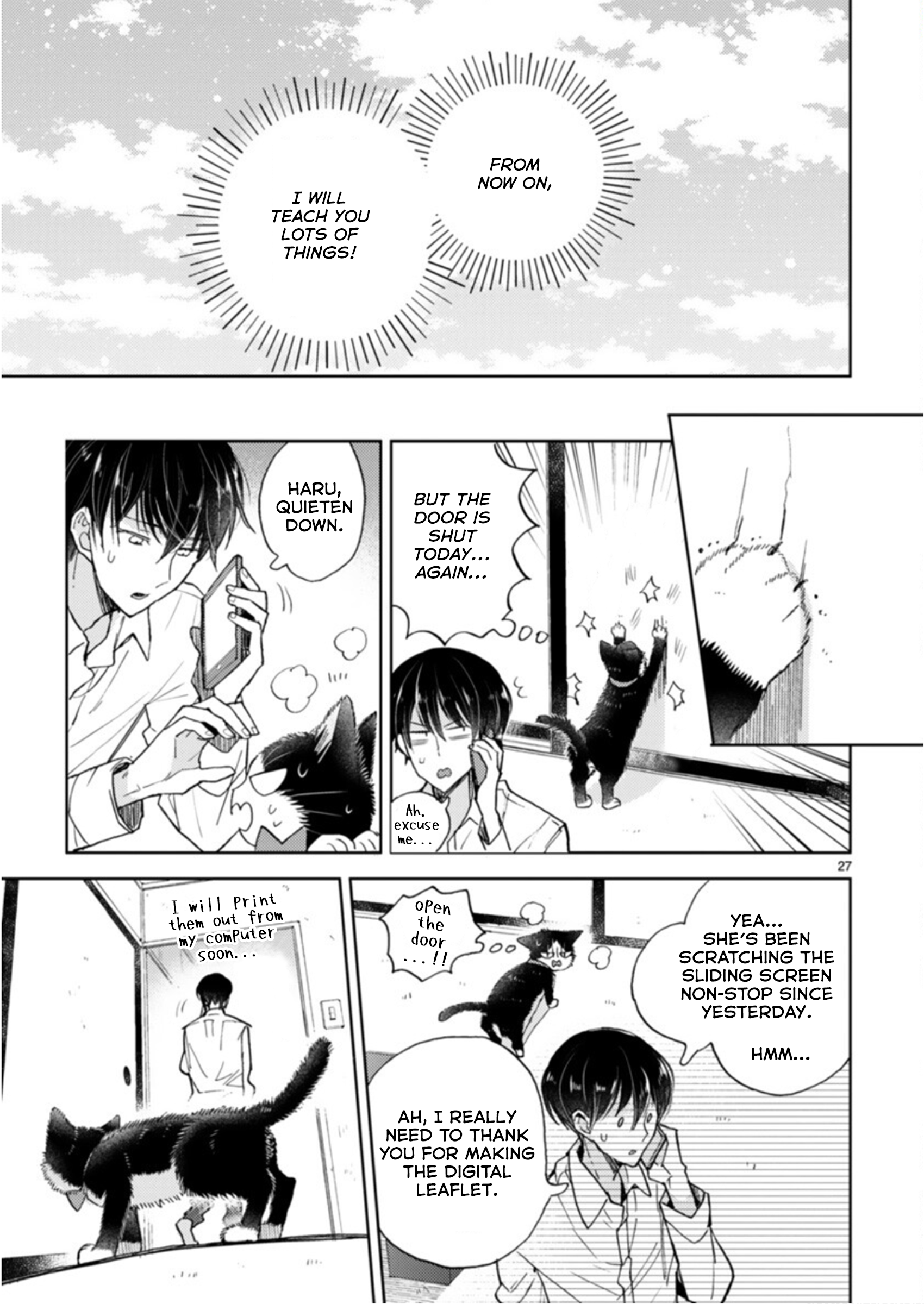 Page 27