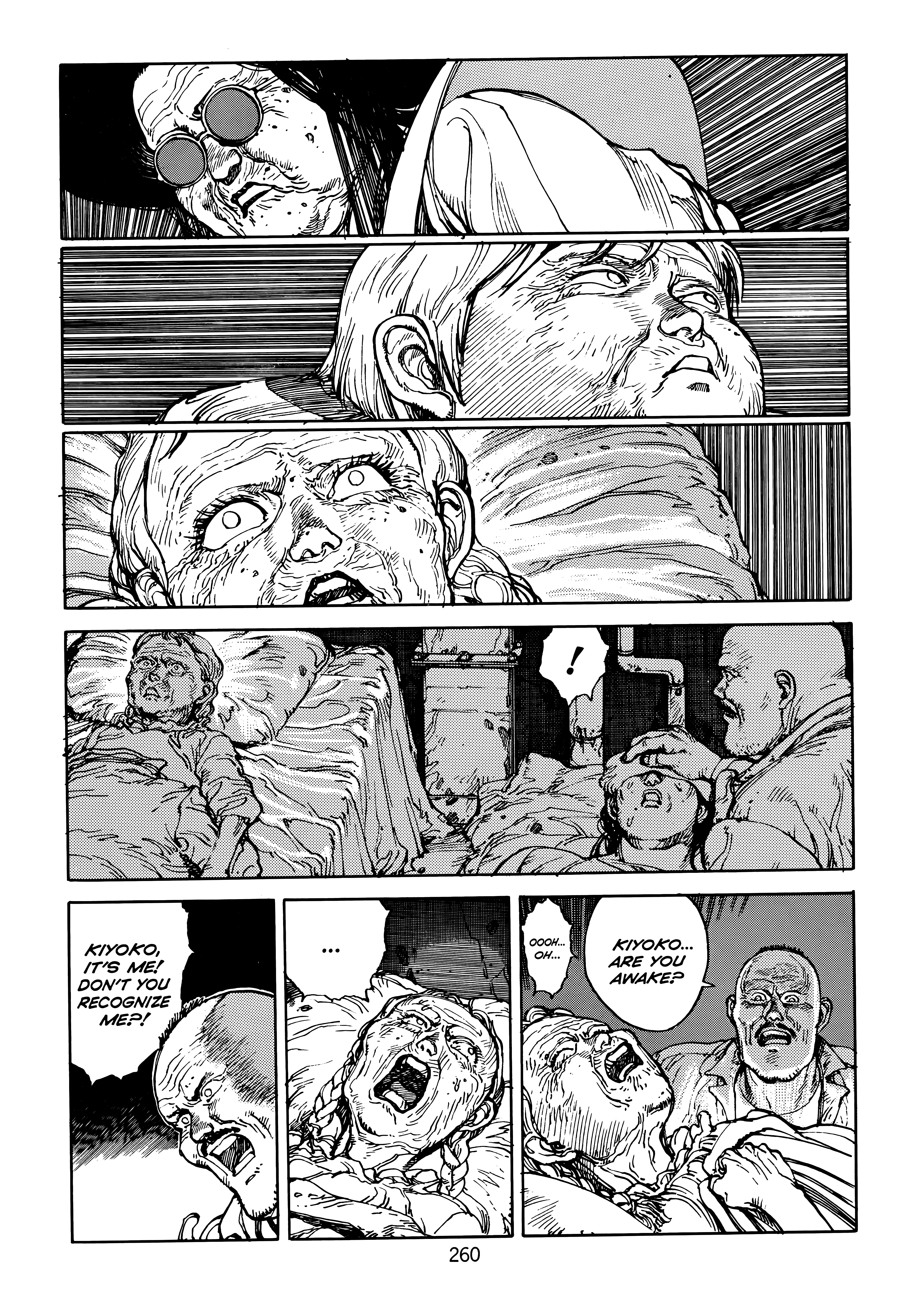 Page 261