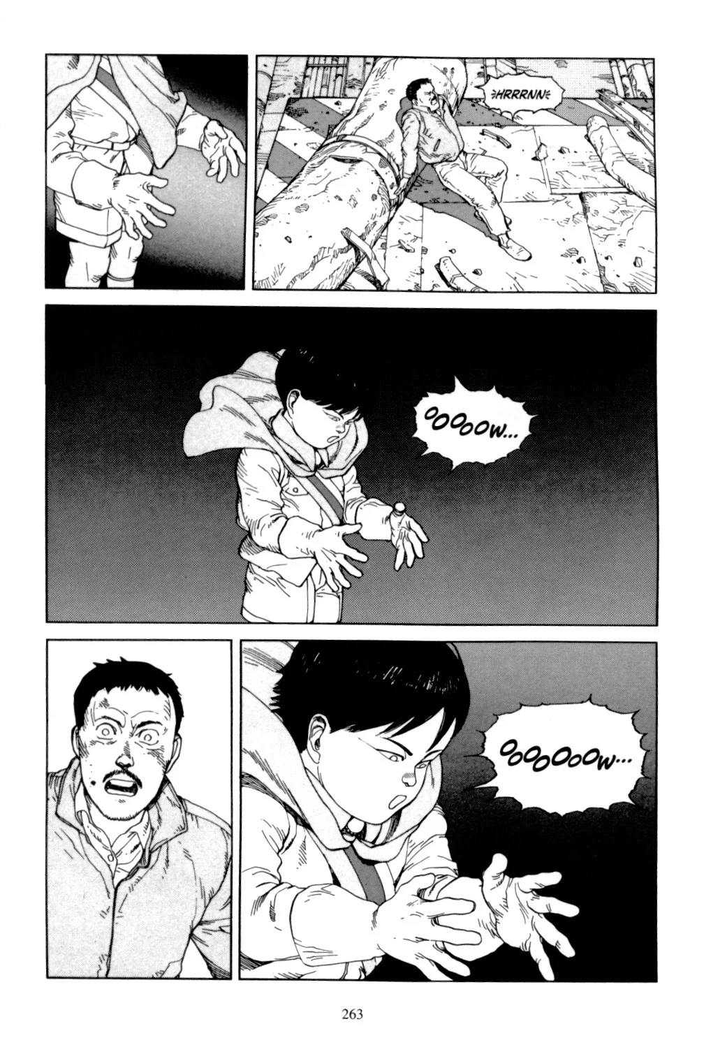 Page 261