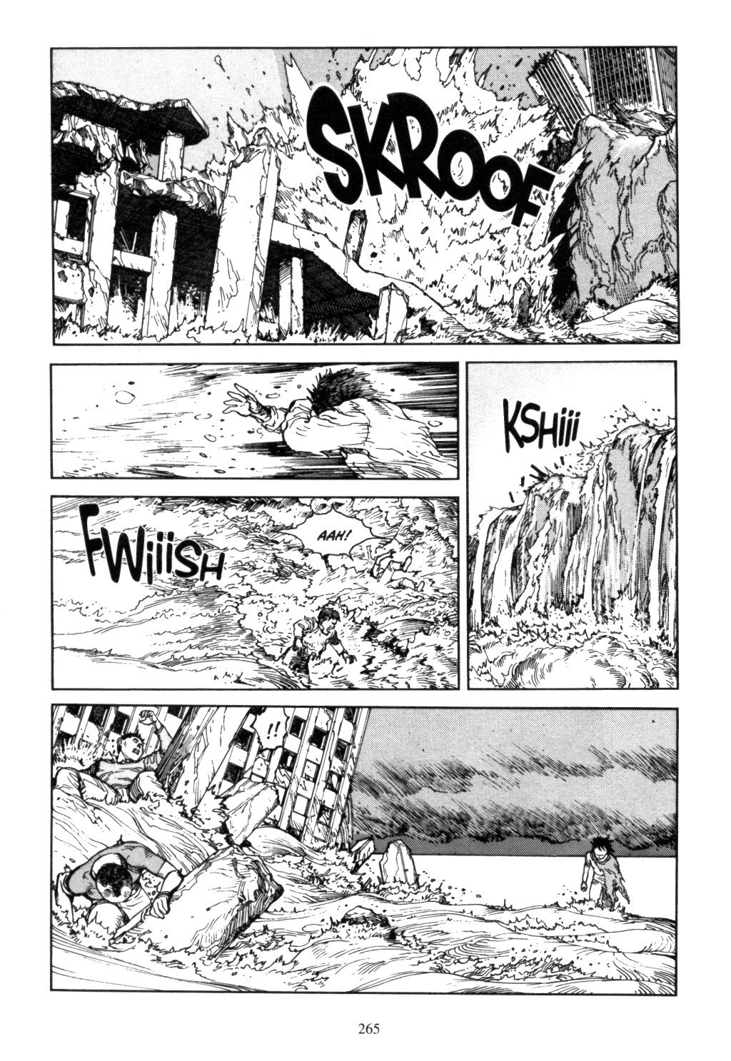 Page 261