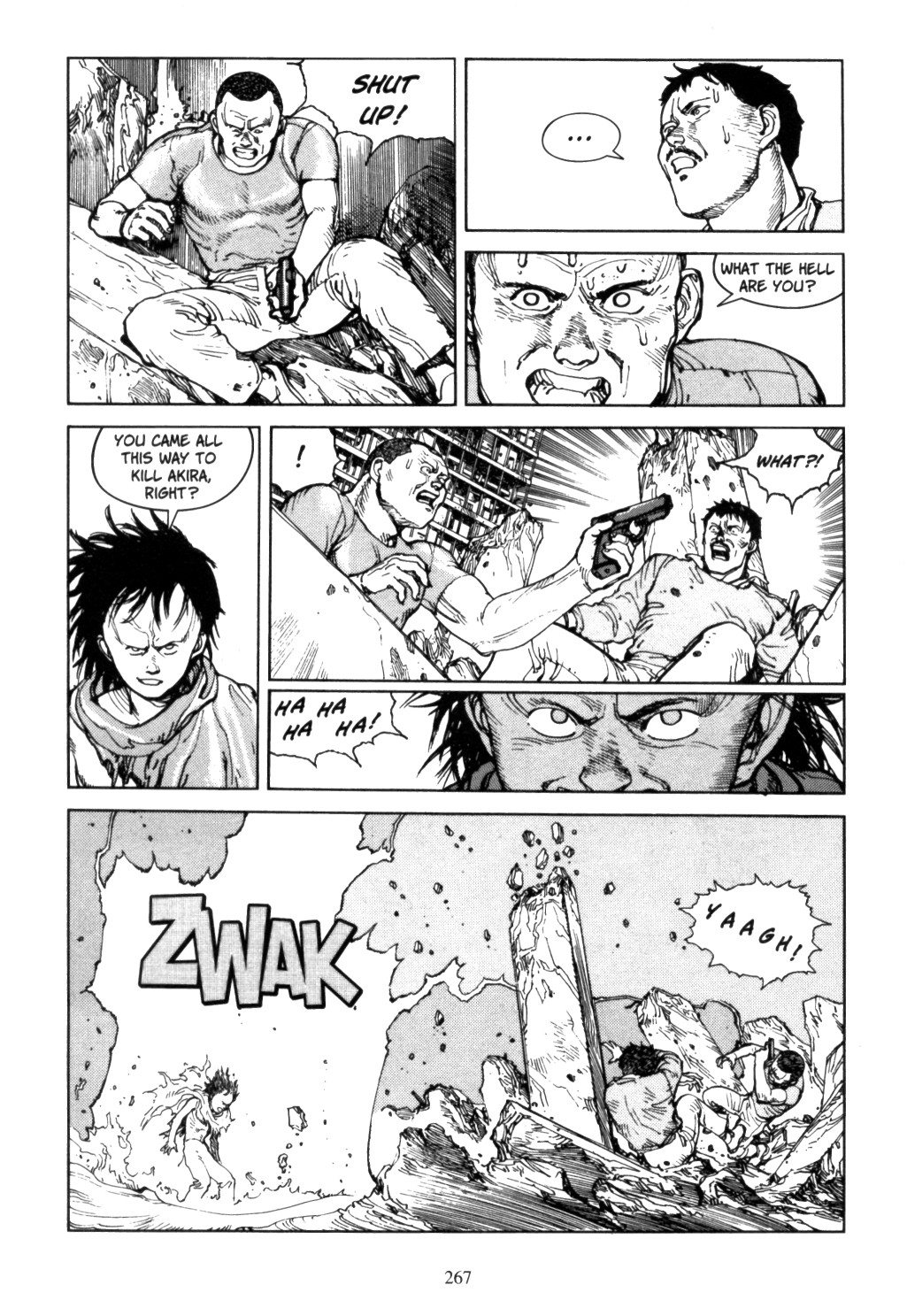 Page 263
