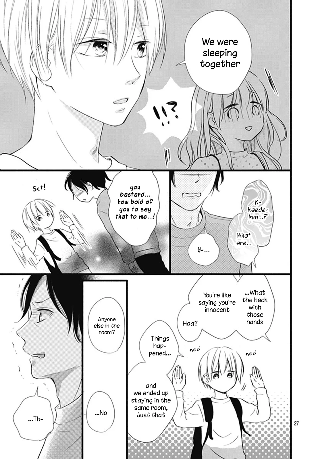 Page 27