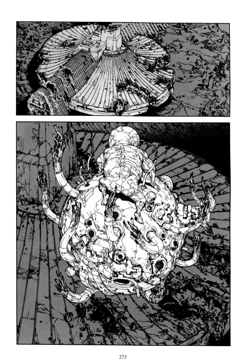 Page 271