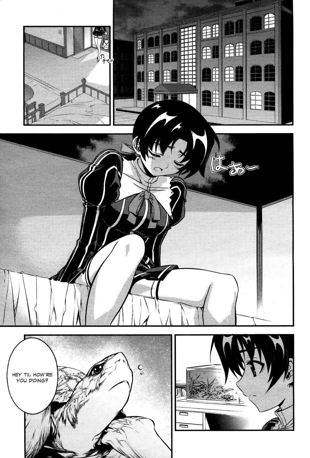 Page 29