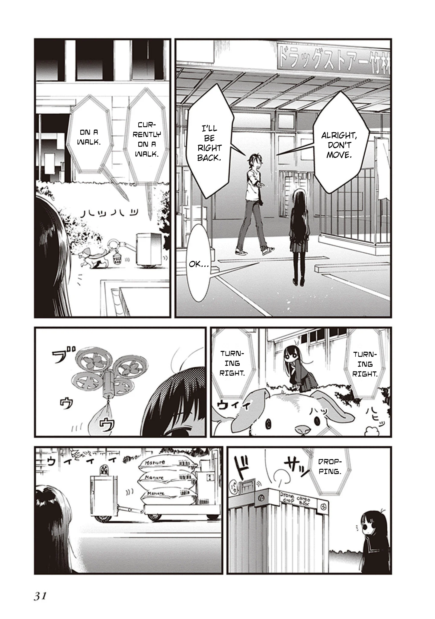Page 31