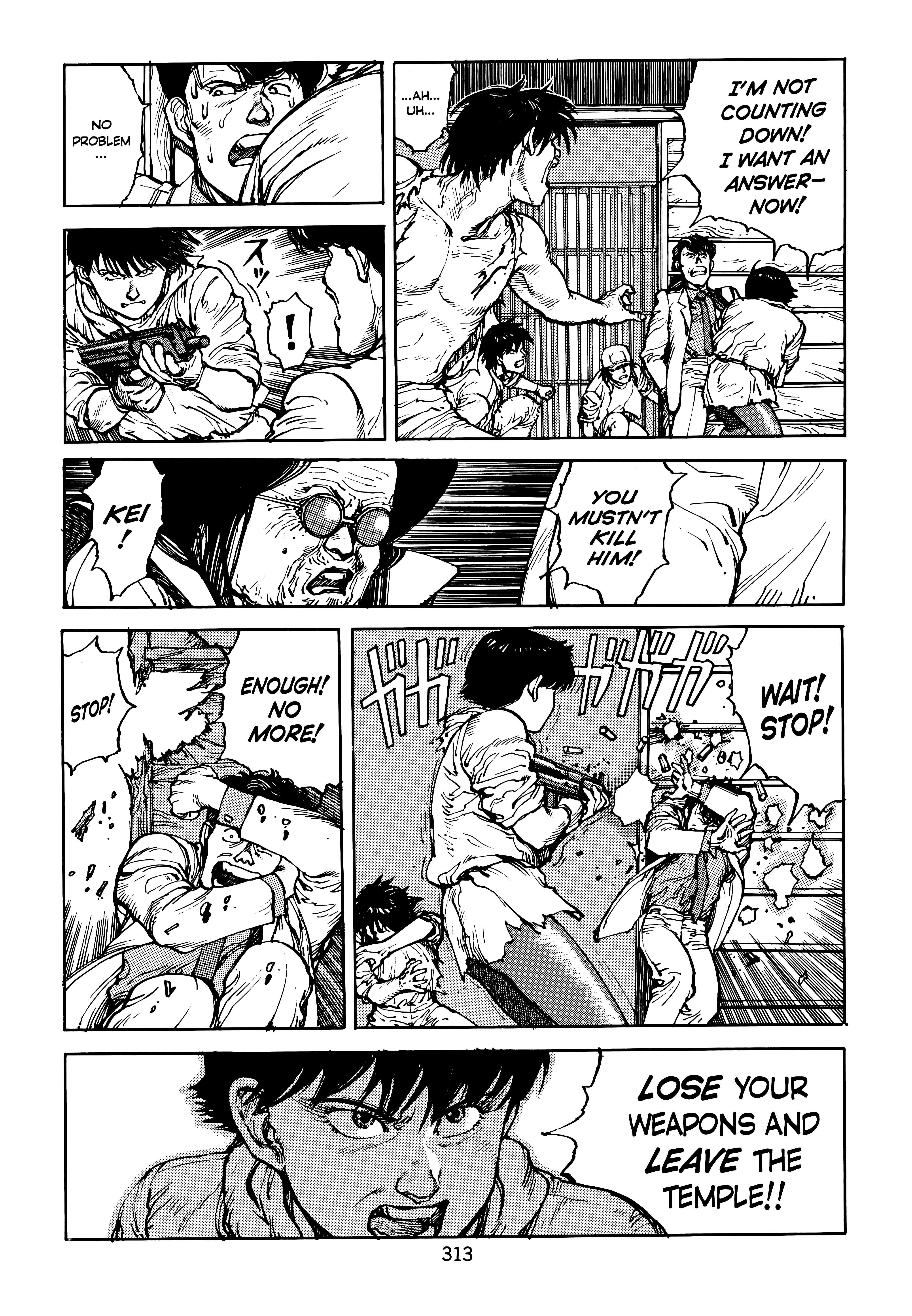 Page 313
