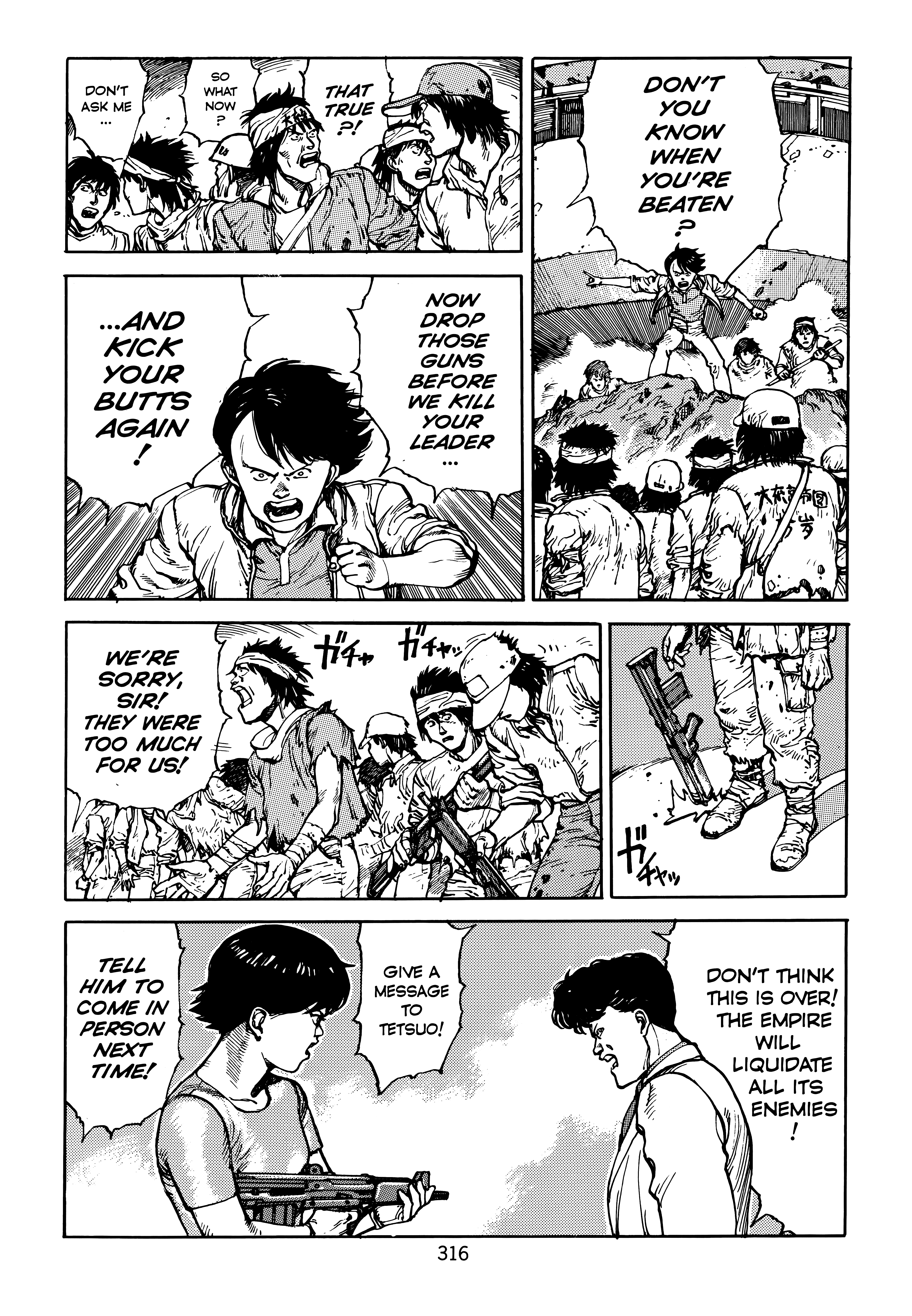 Page 316