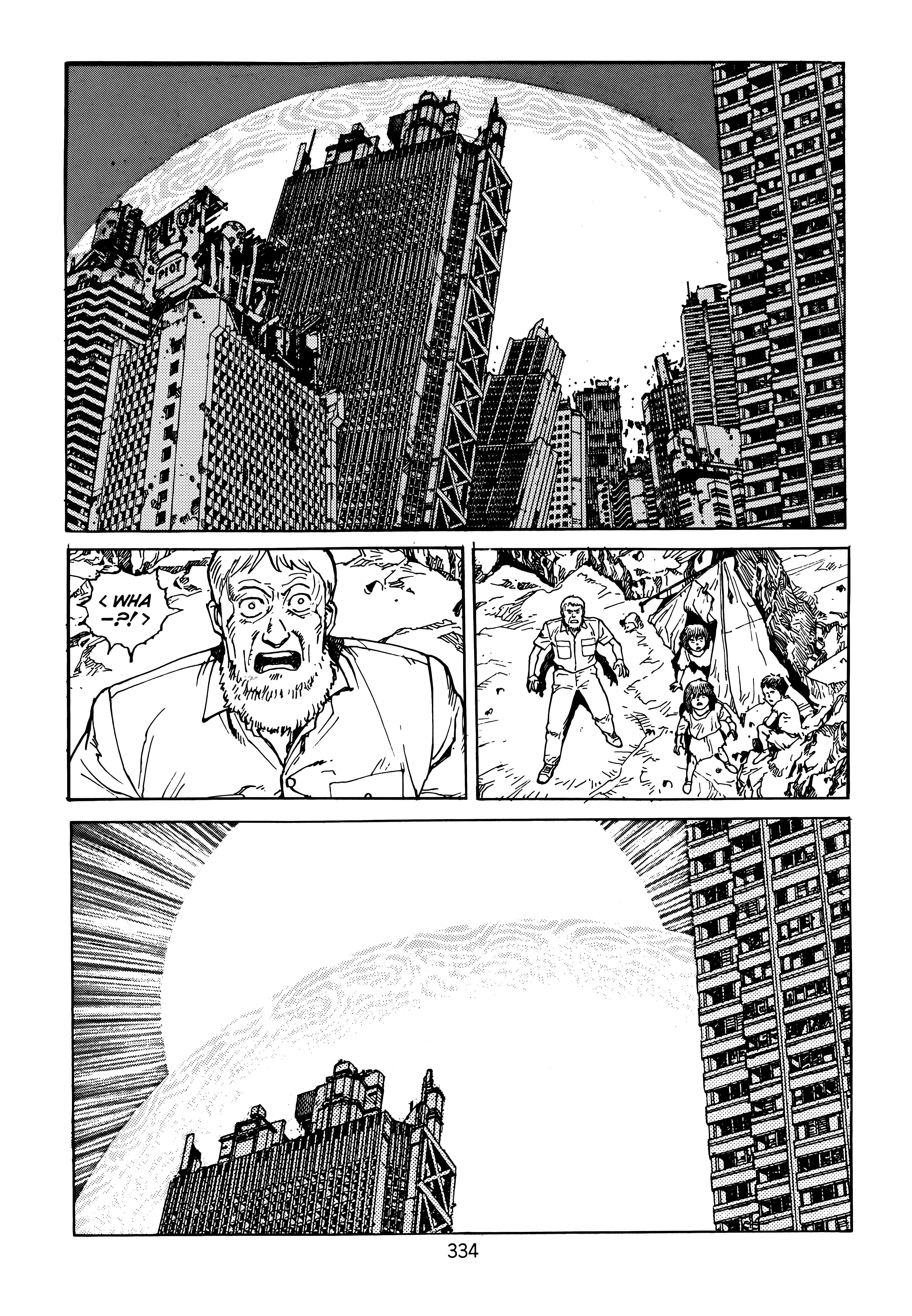 Page 333