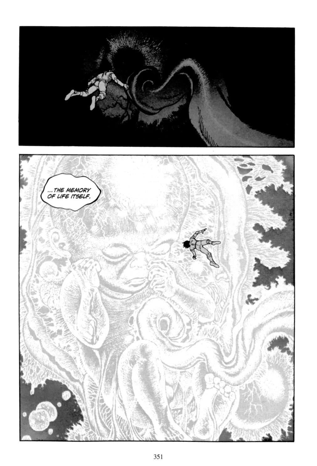 Page 342