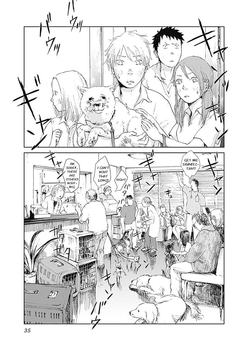 Page 35
