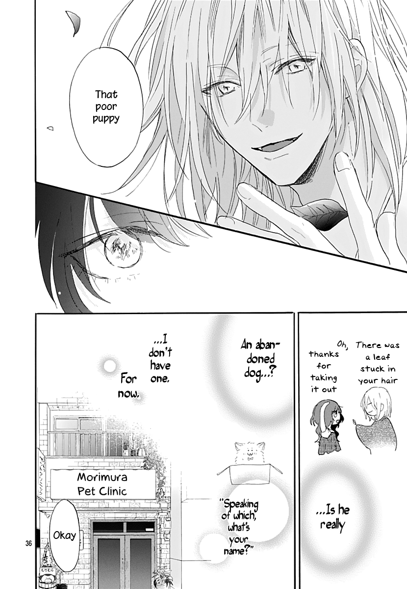 Page 37
