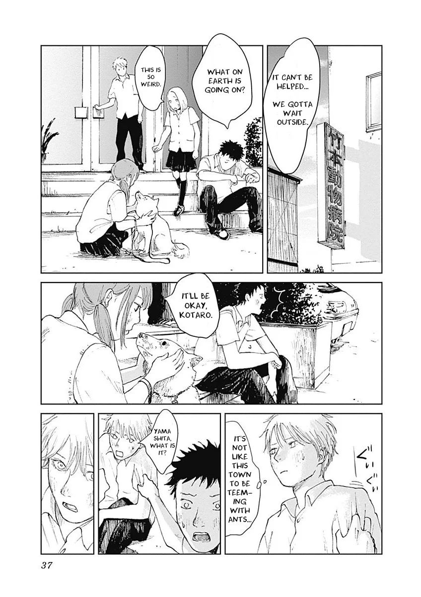 Page 37
