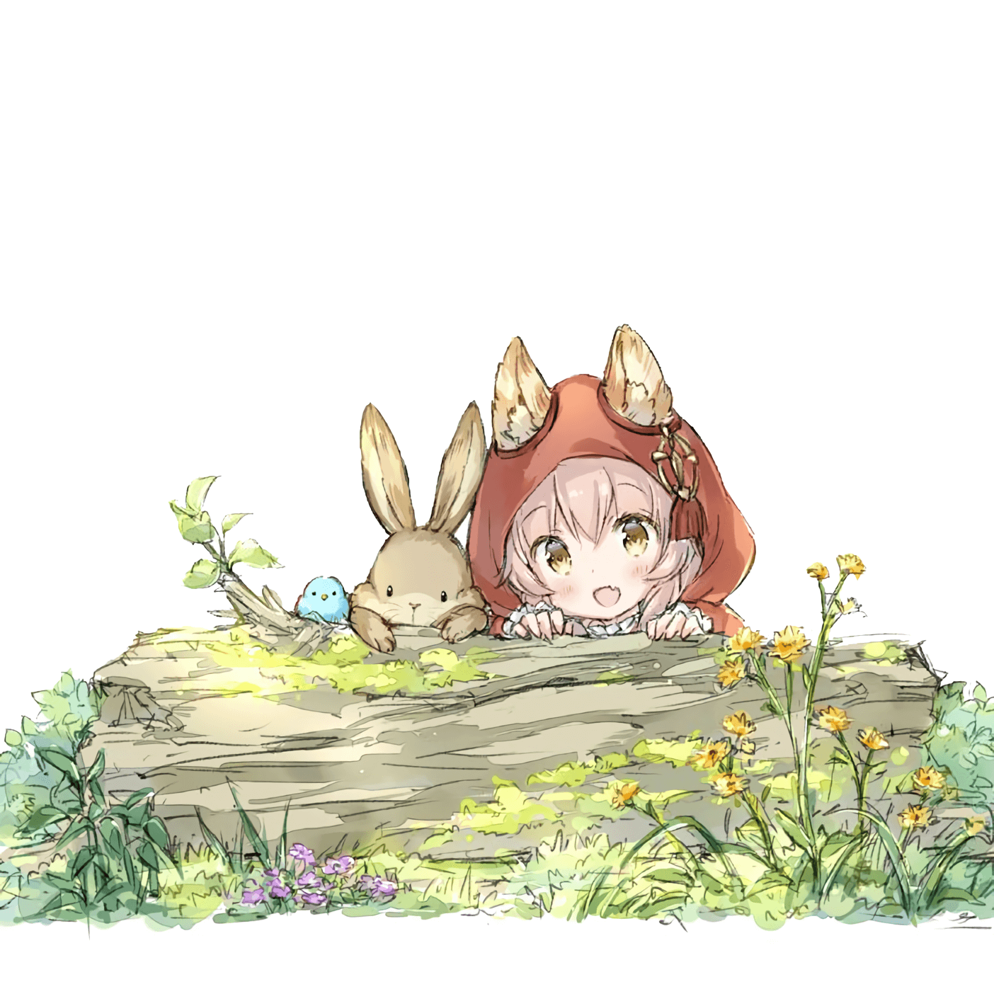 Story of Little Wolf