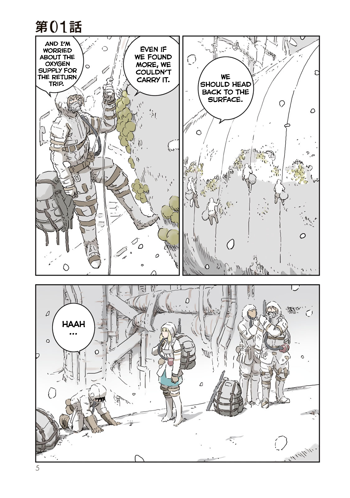 Page 5