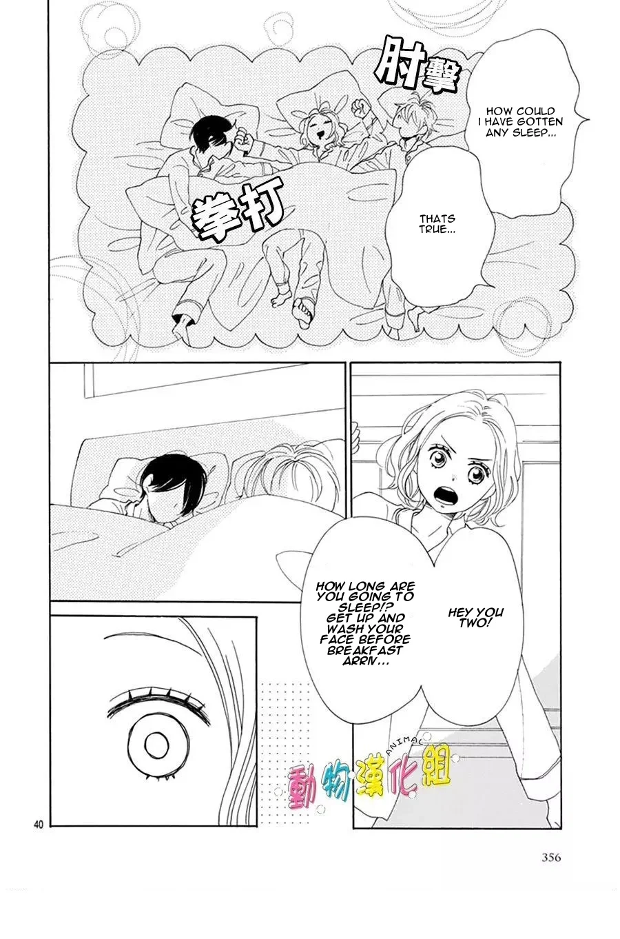 Page 41