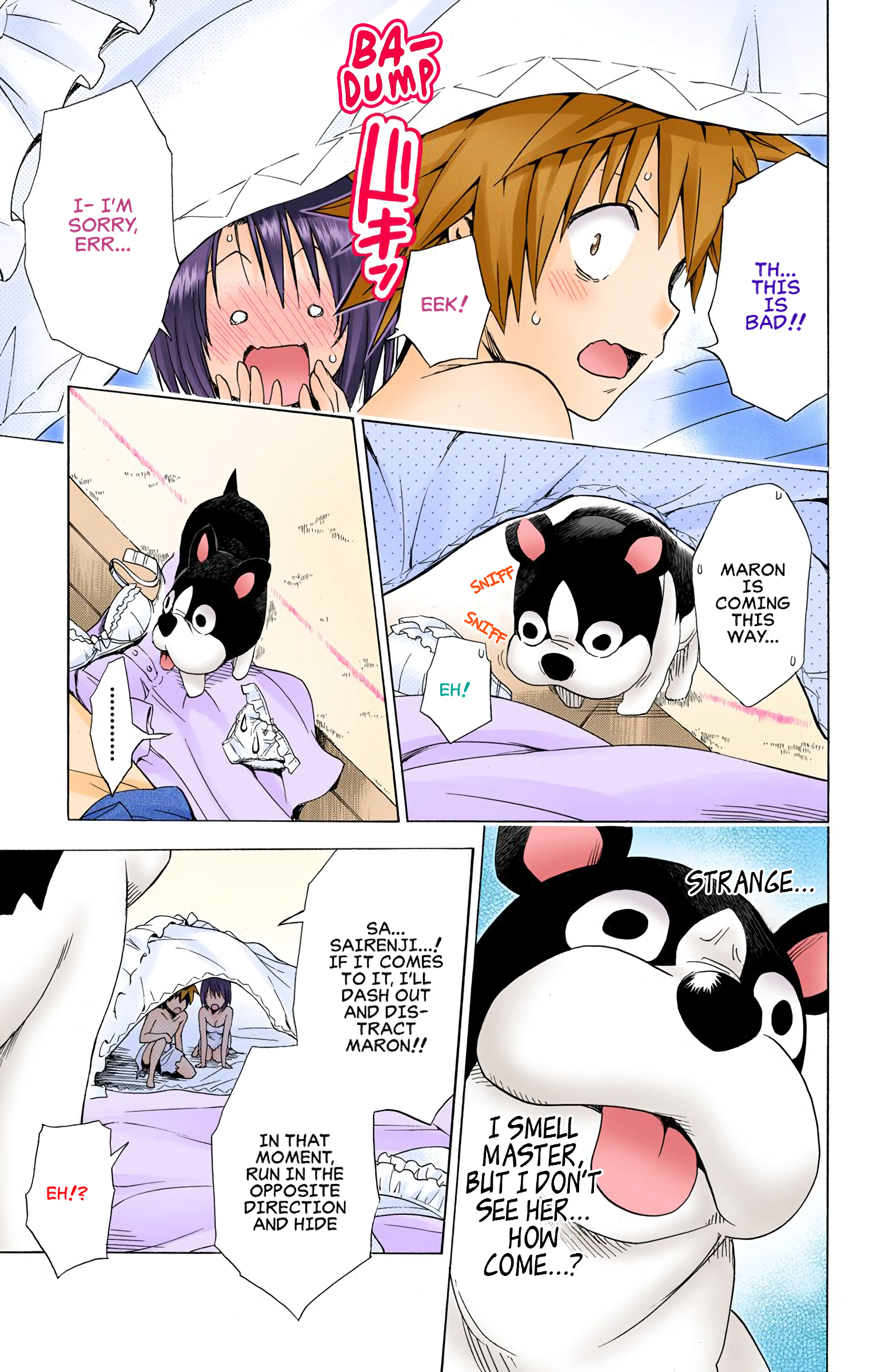 Page 43