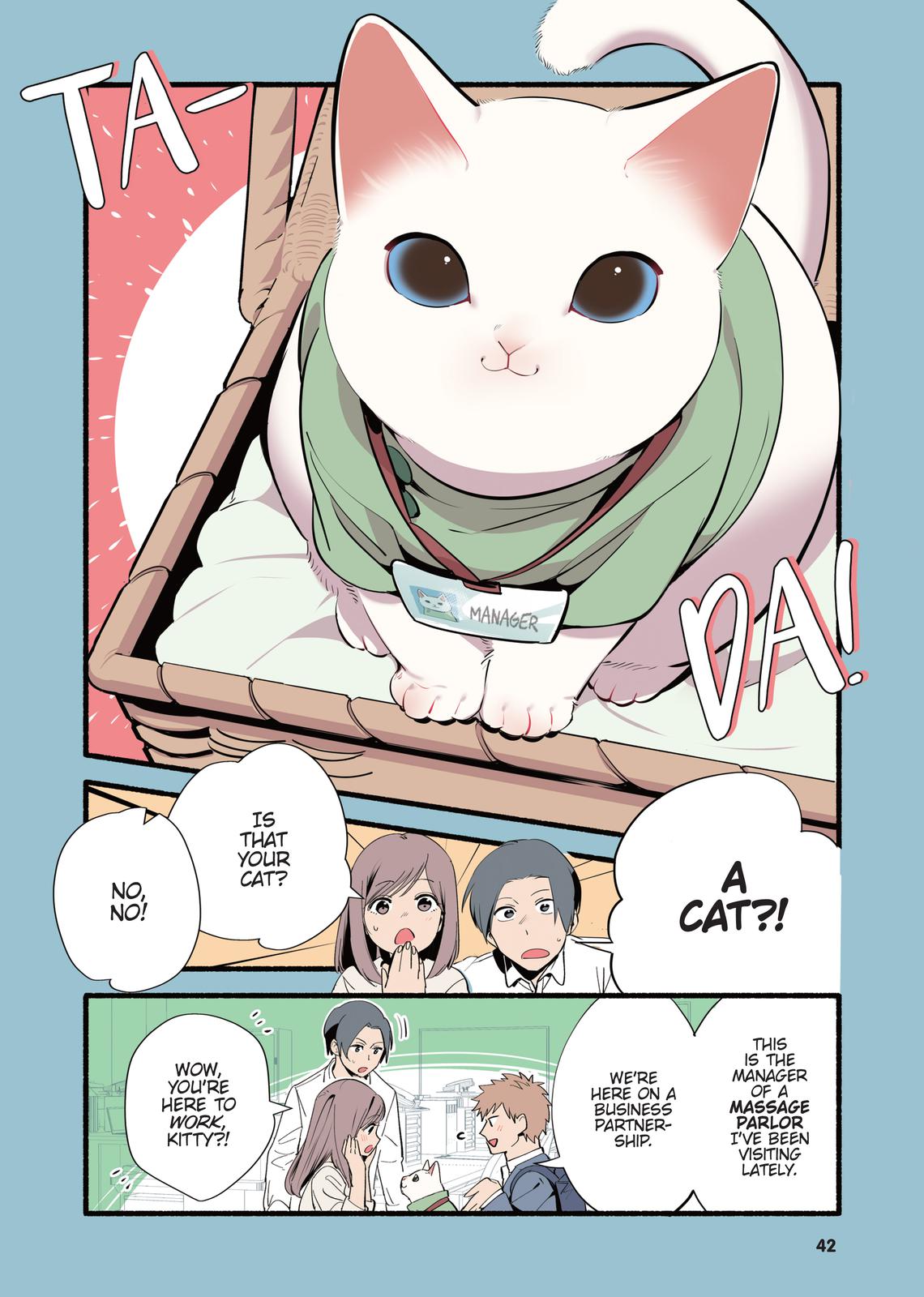 Page 43