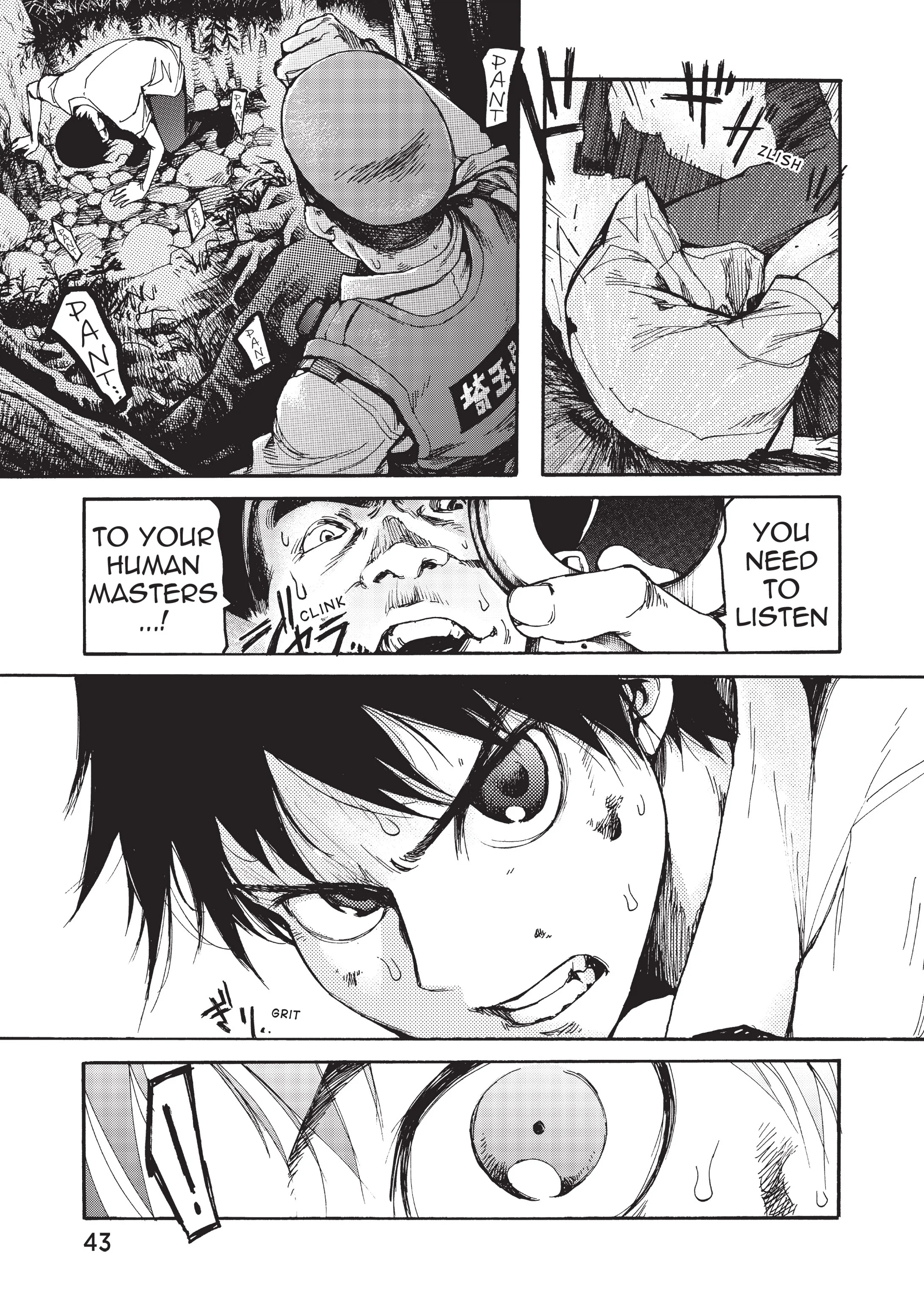 Page 43