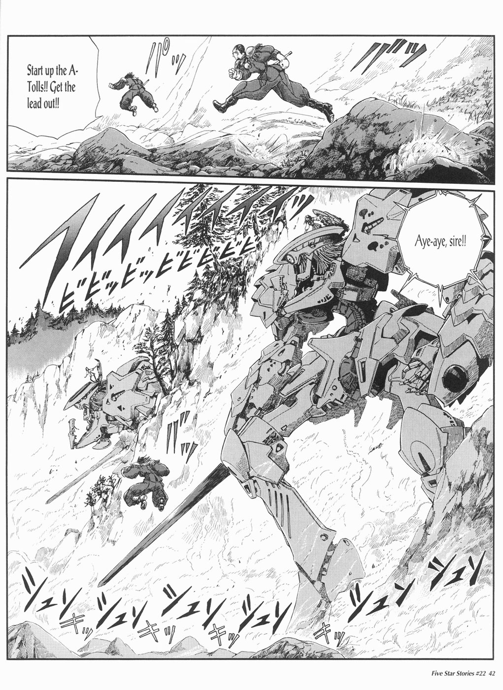 Page 43