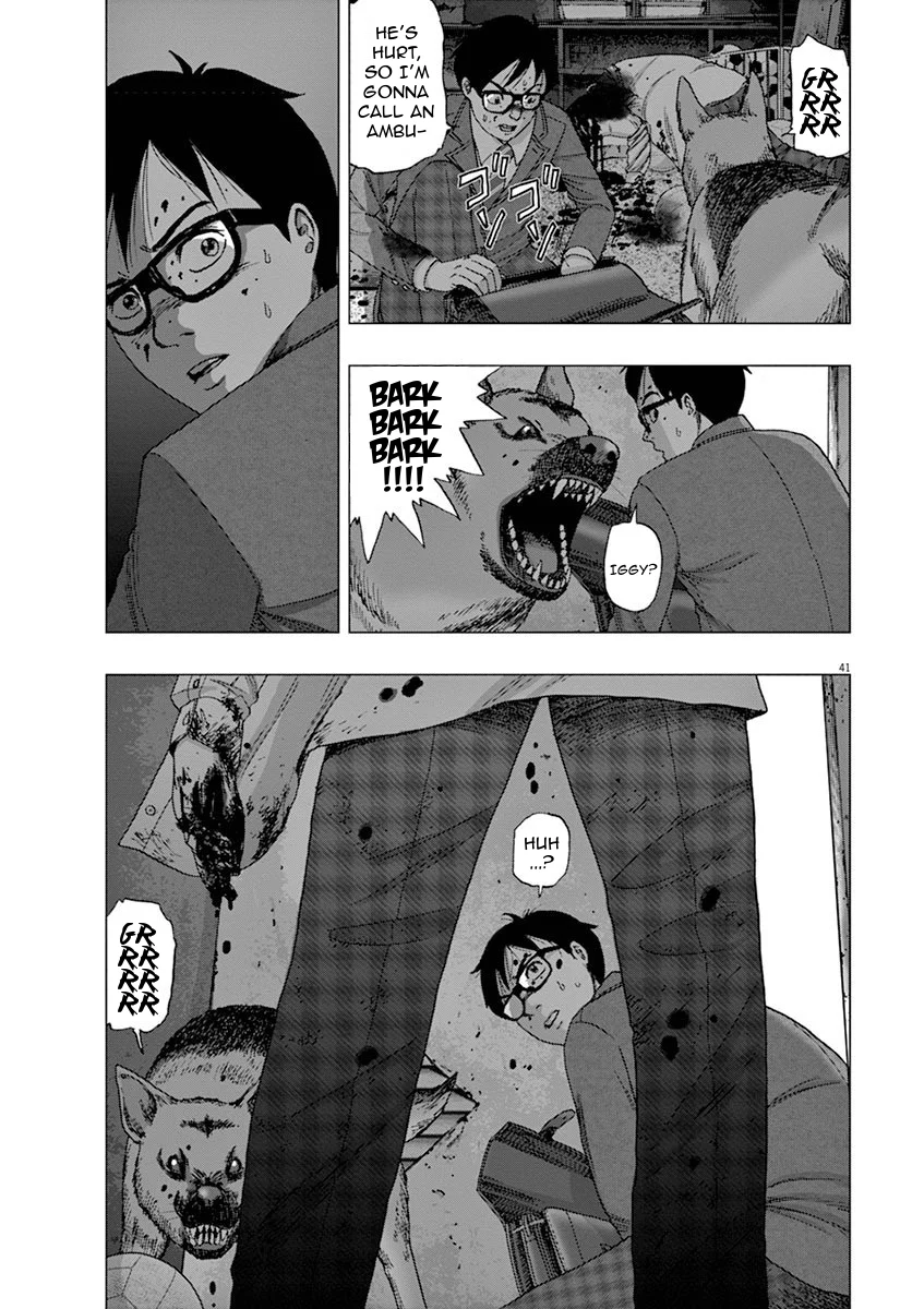 Page 43