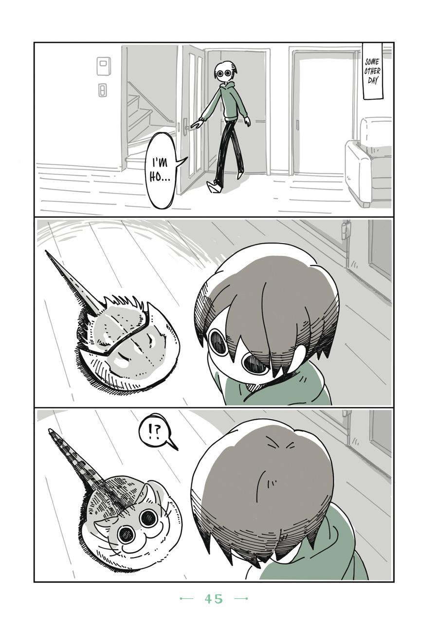 Page 45