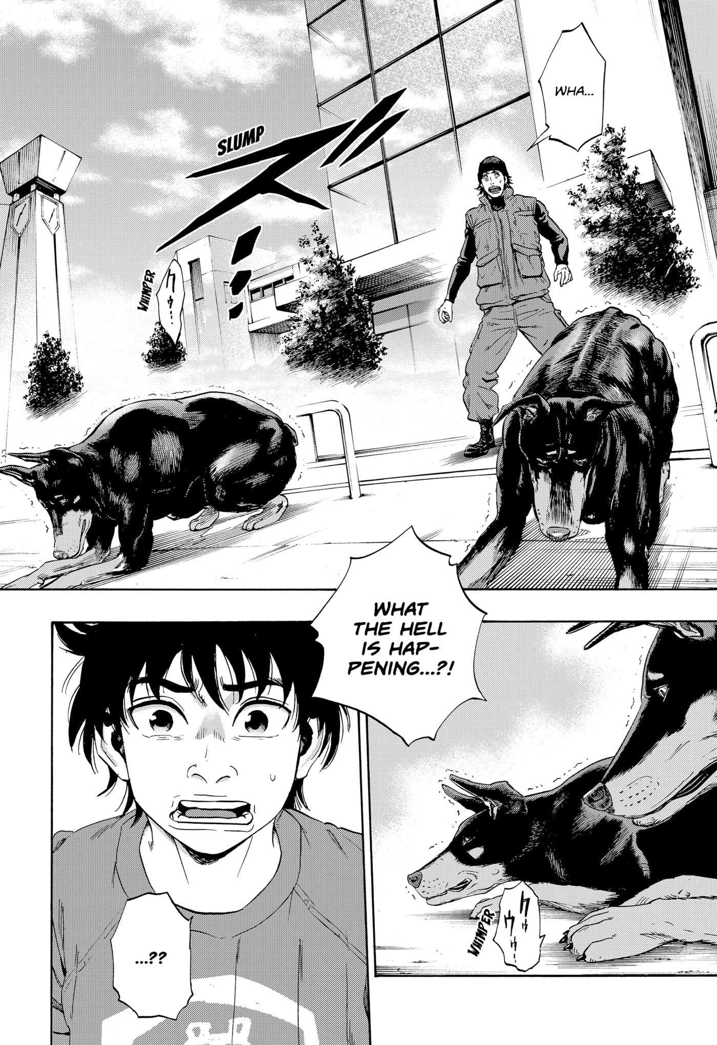 Page 62