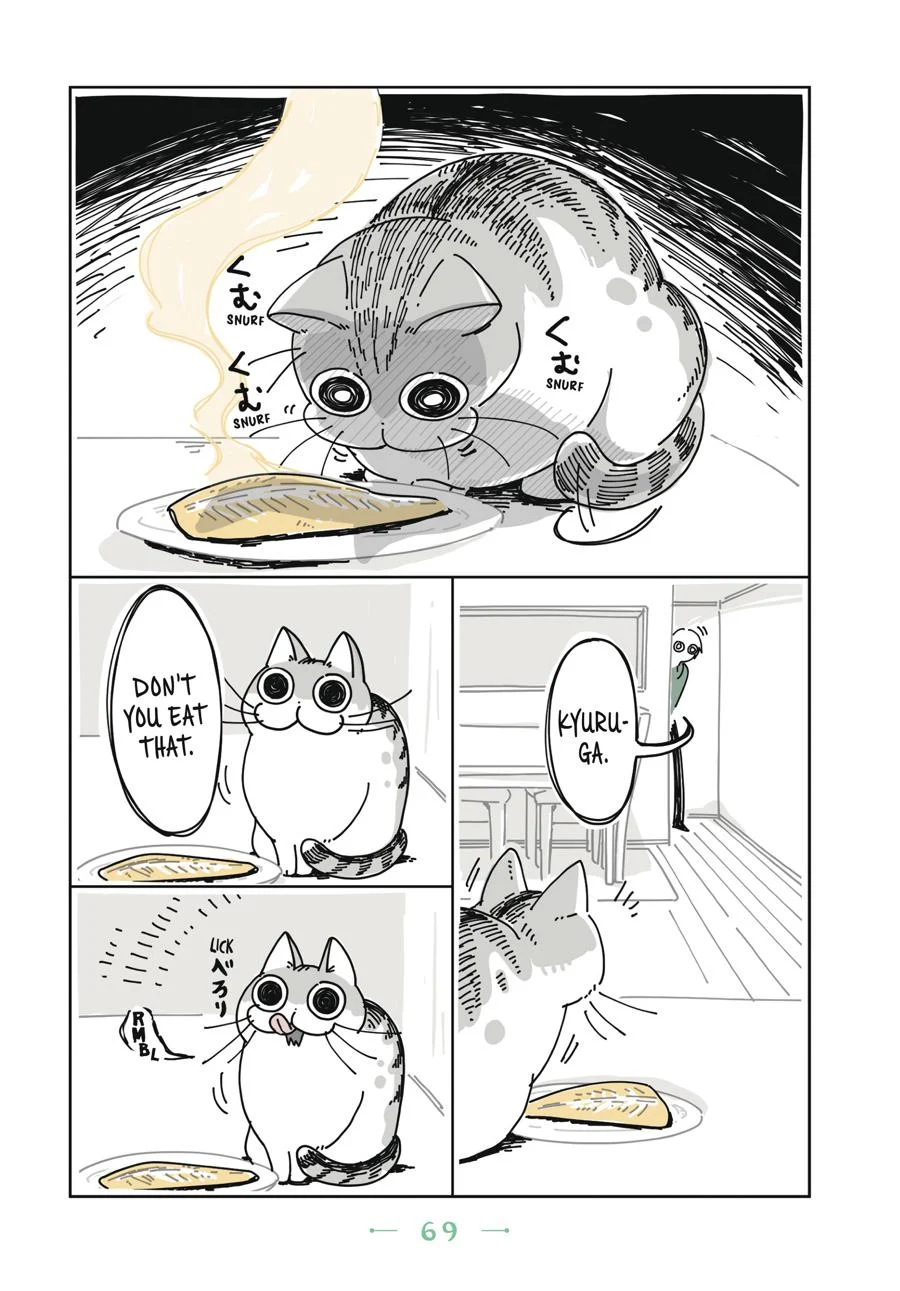 Page 69