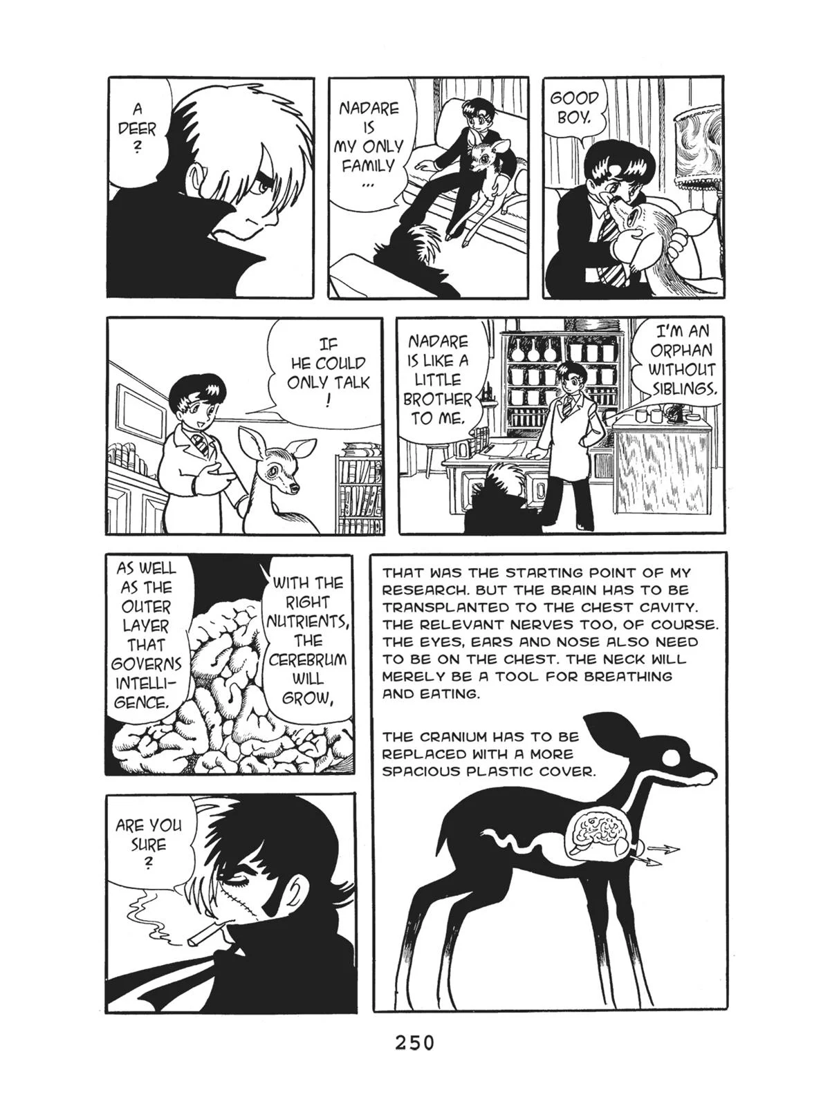 Page 251