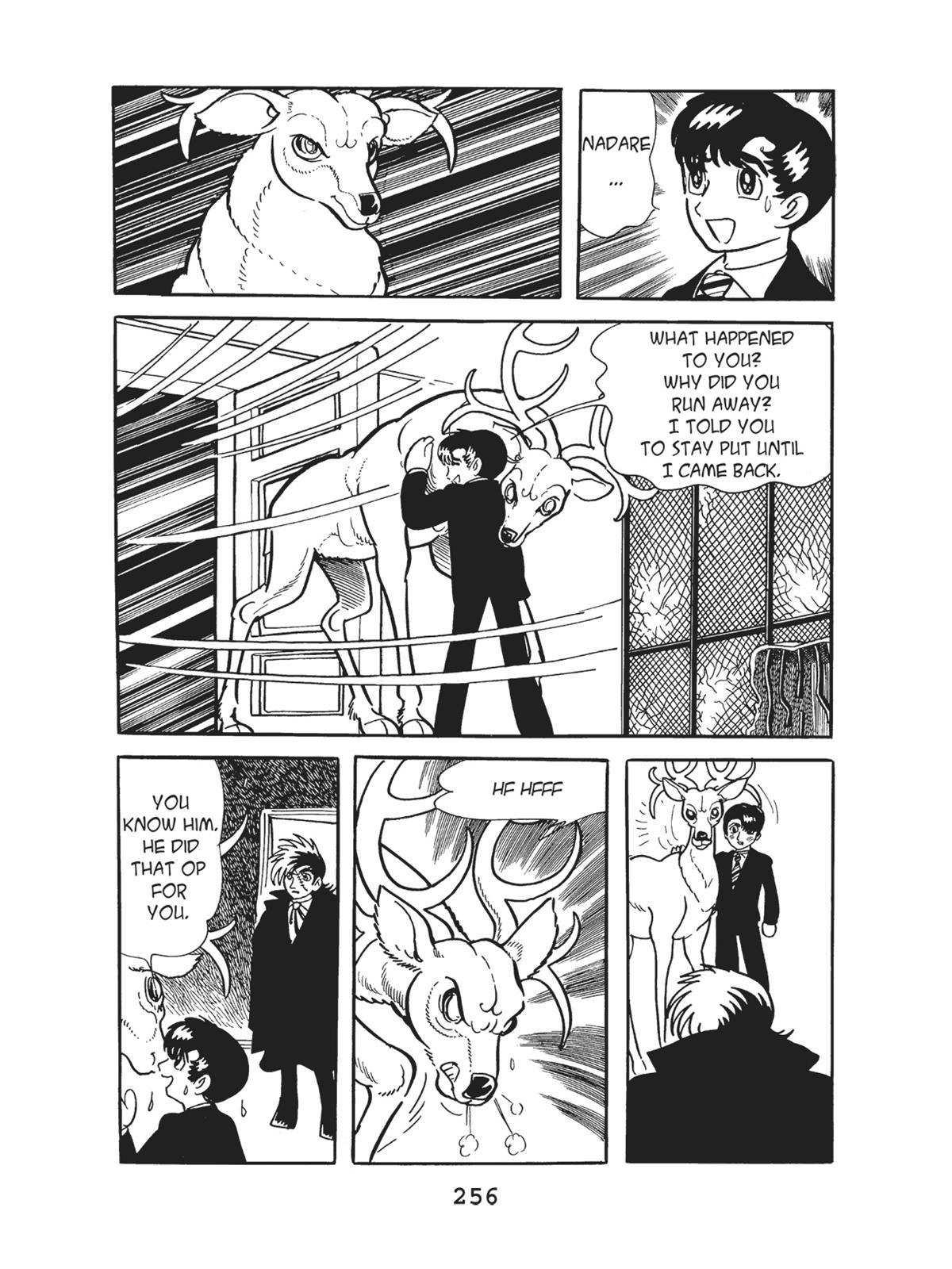 Page 257
