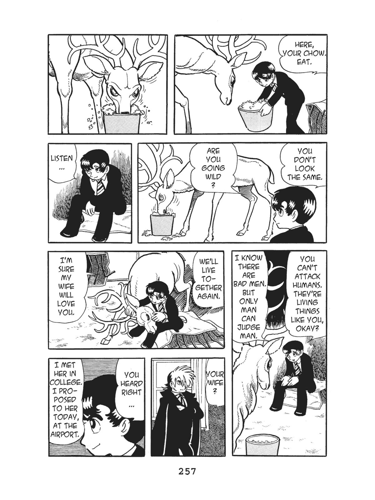Page 258