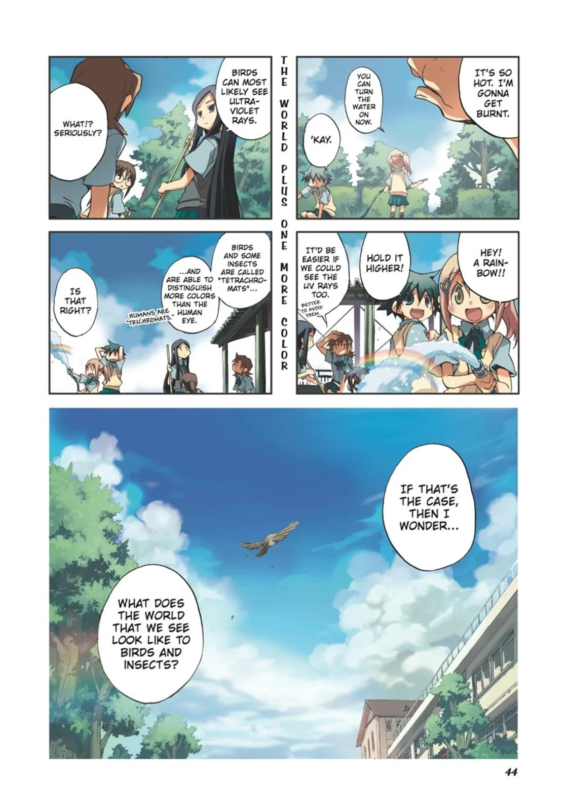 Page 45