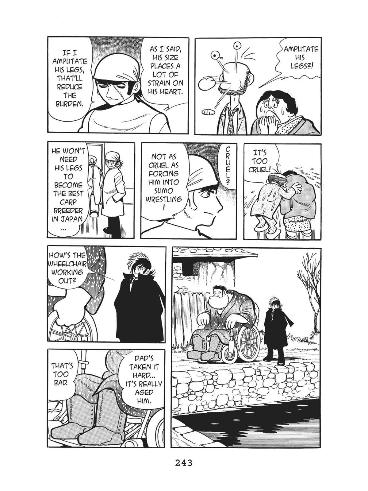 Page 245