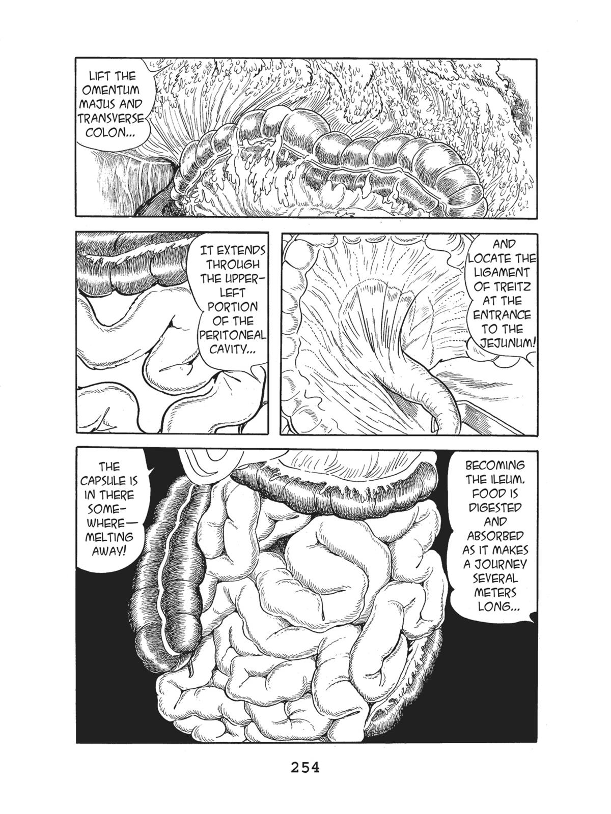 Page 256