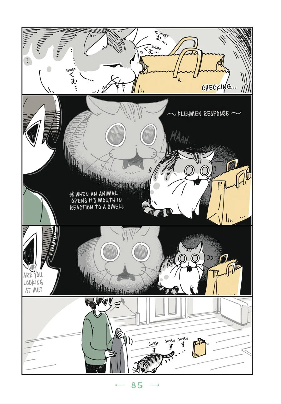 Page 85