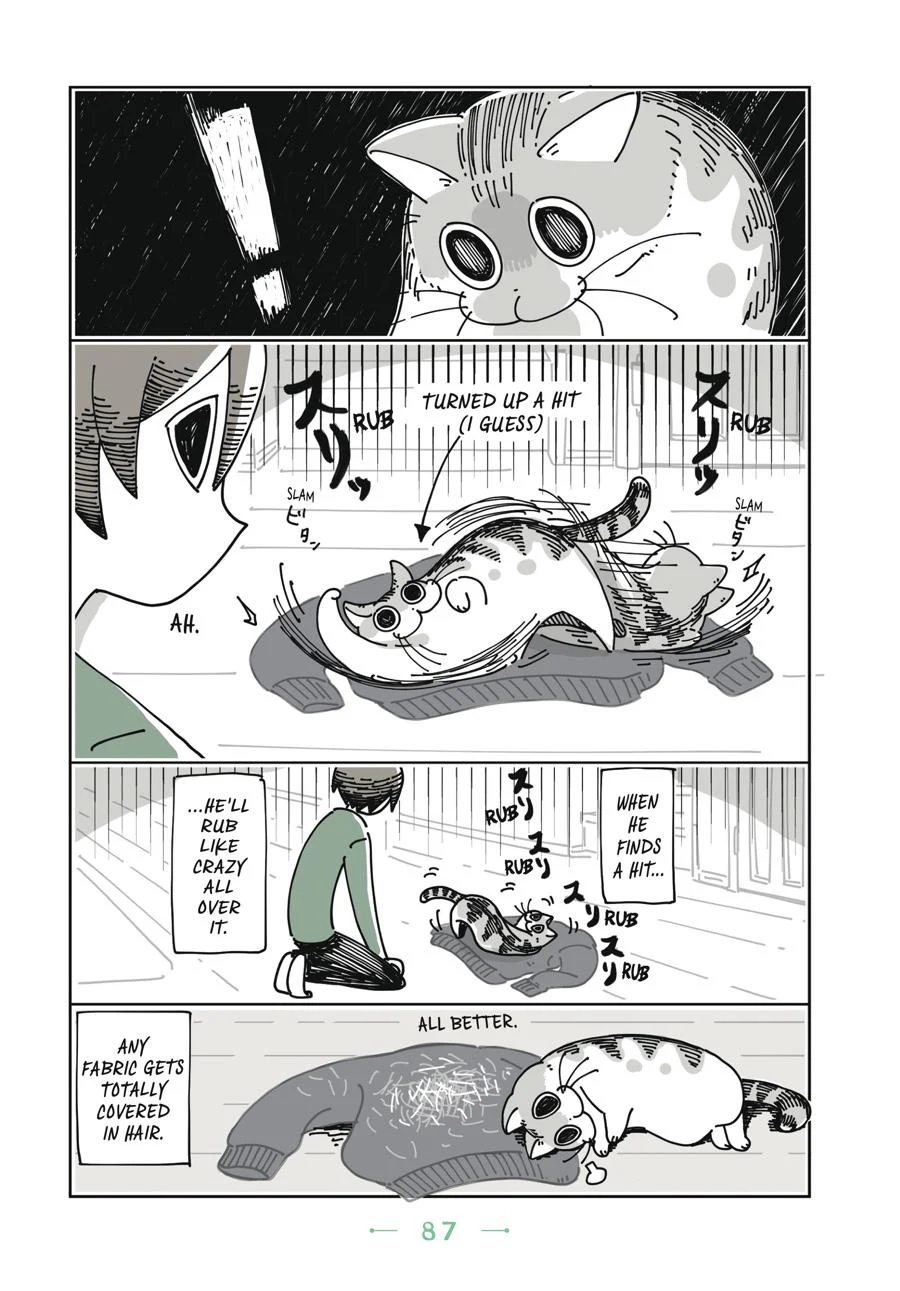 Page 87