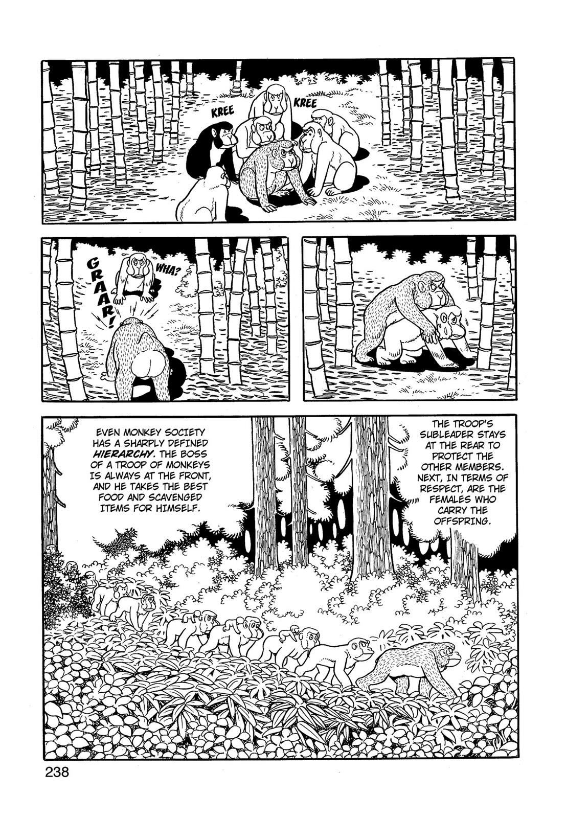 Page 239