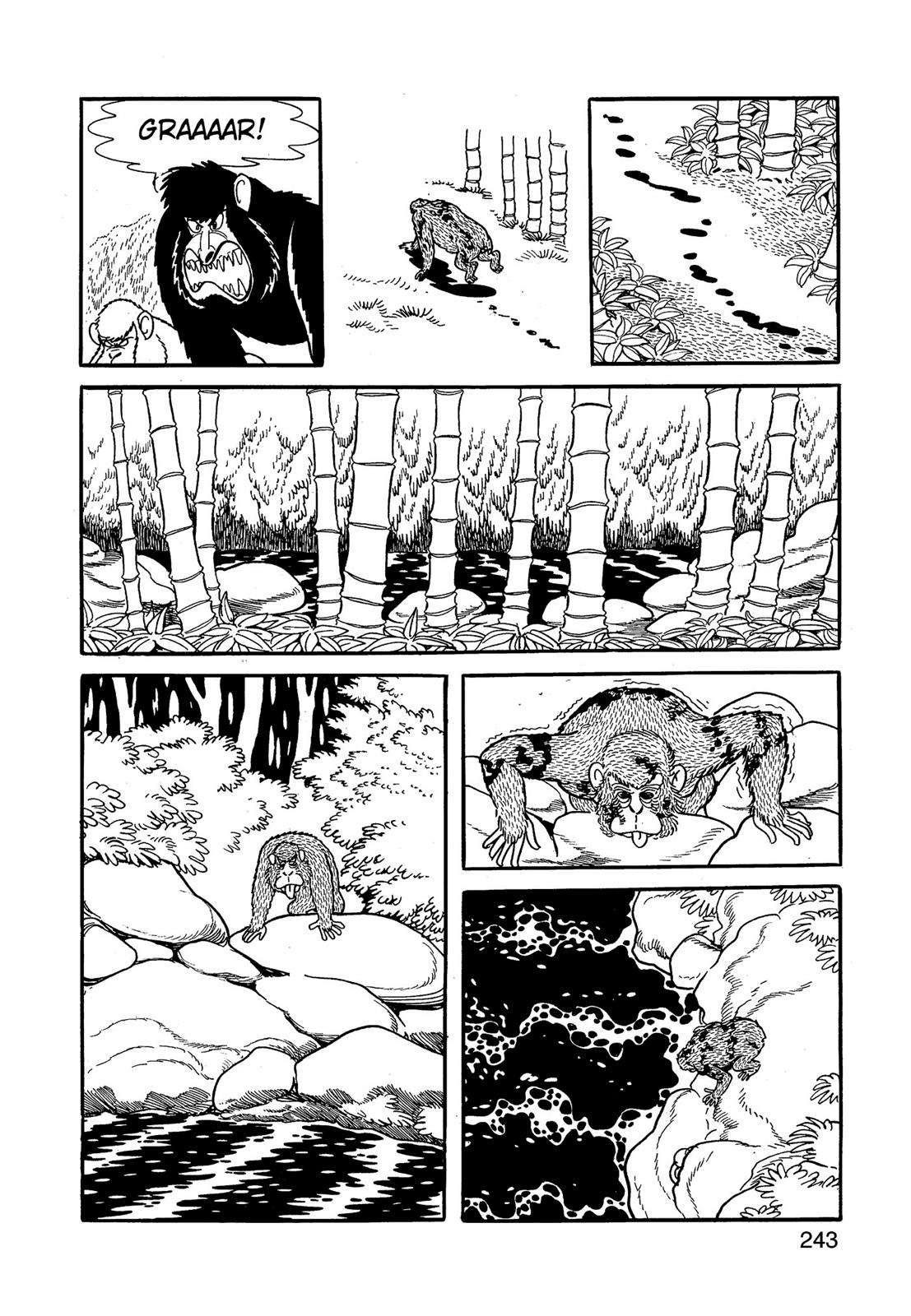 Page 244