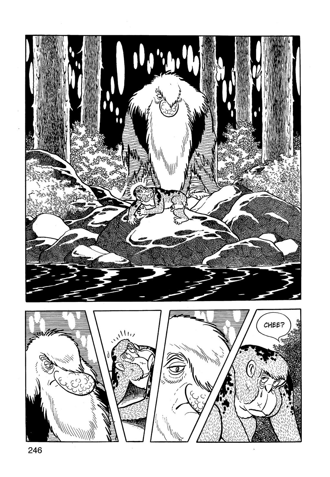 Page 247