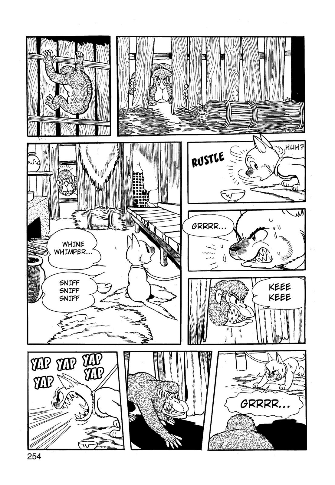 Page 255