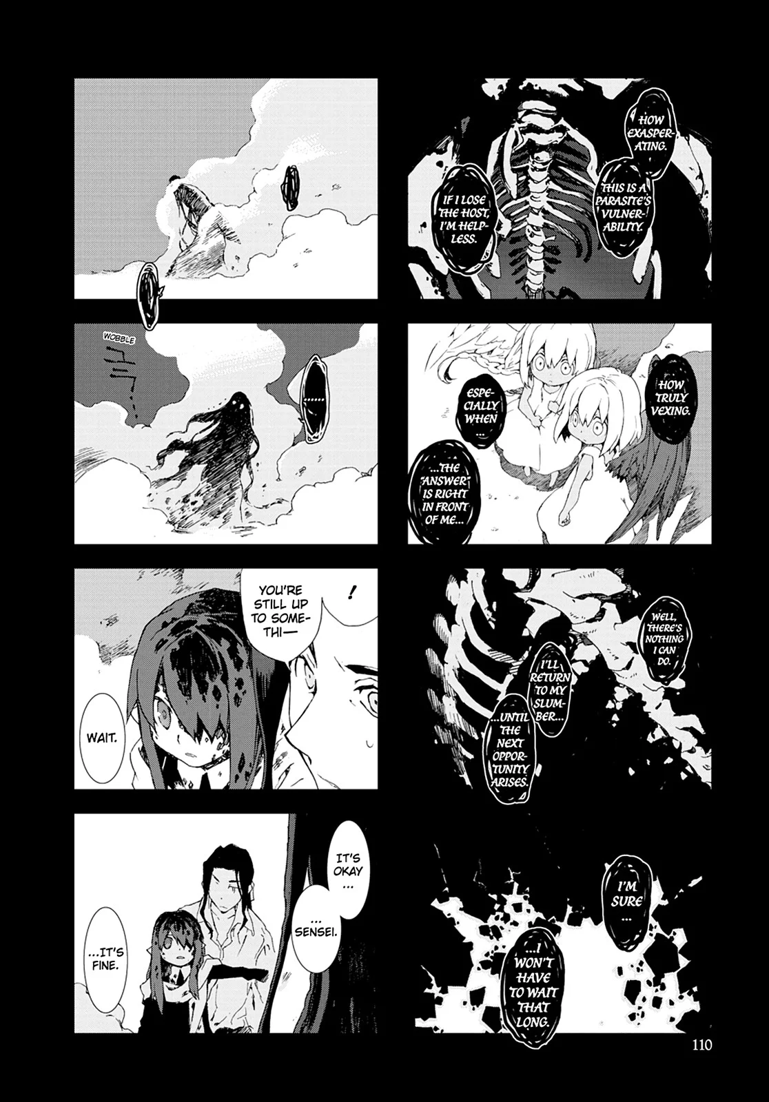 Page 111