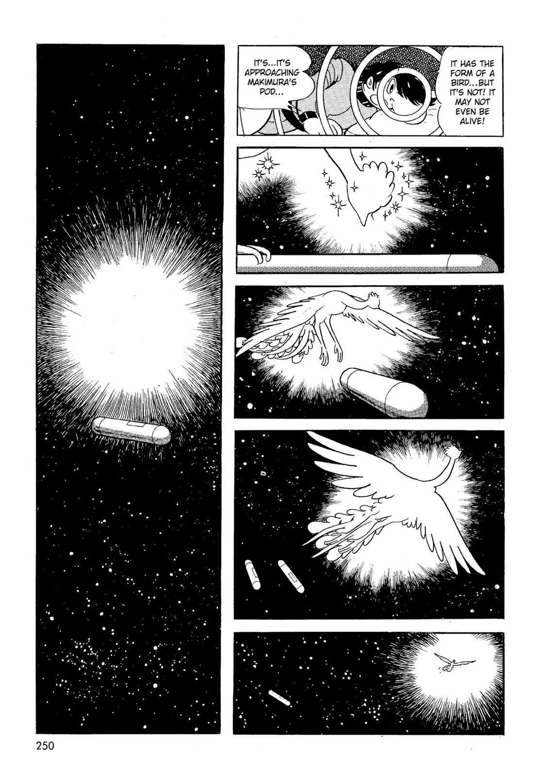 Page 251