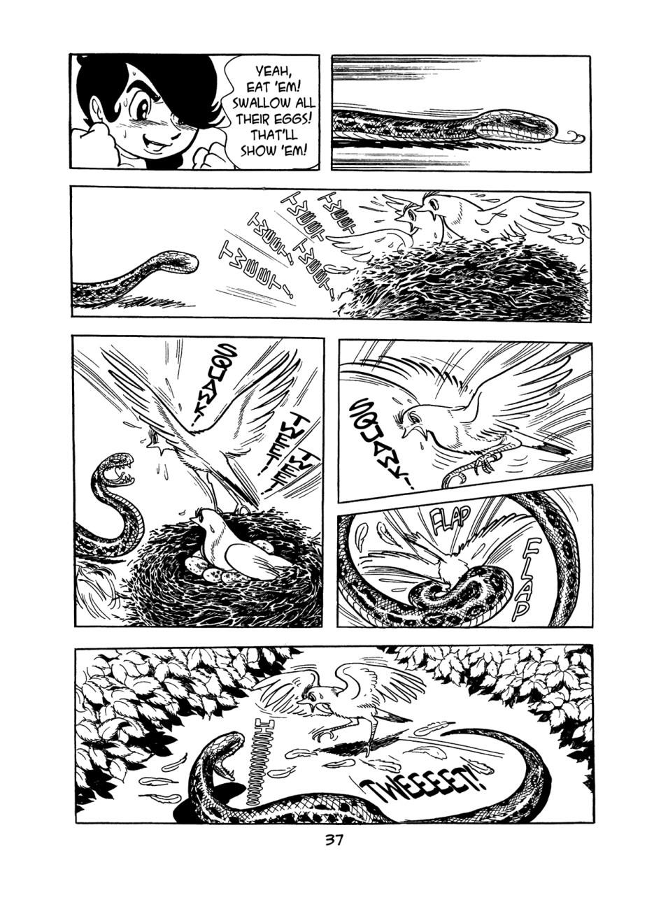 Page 37