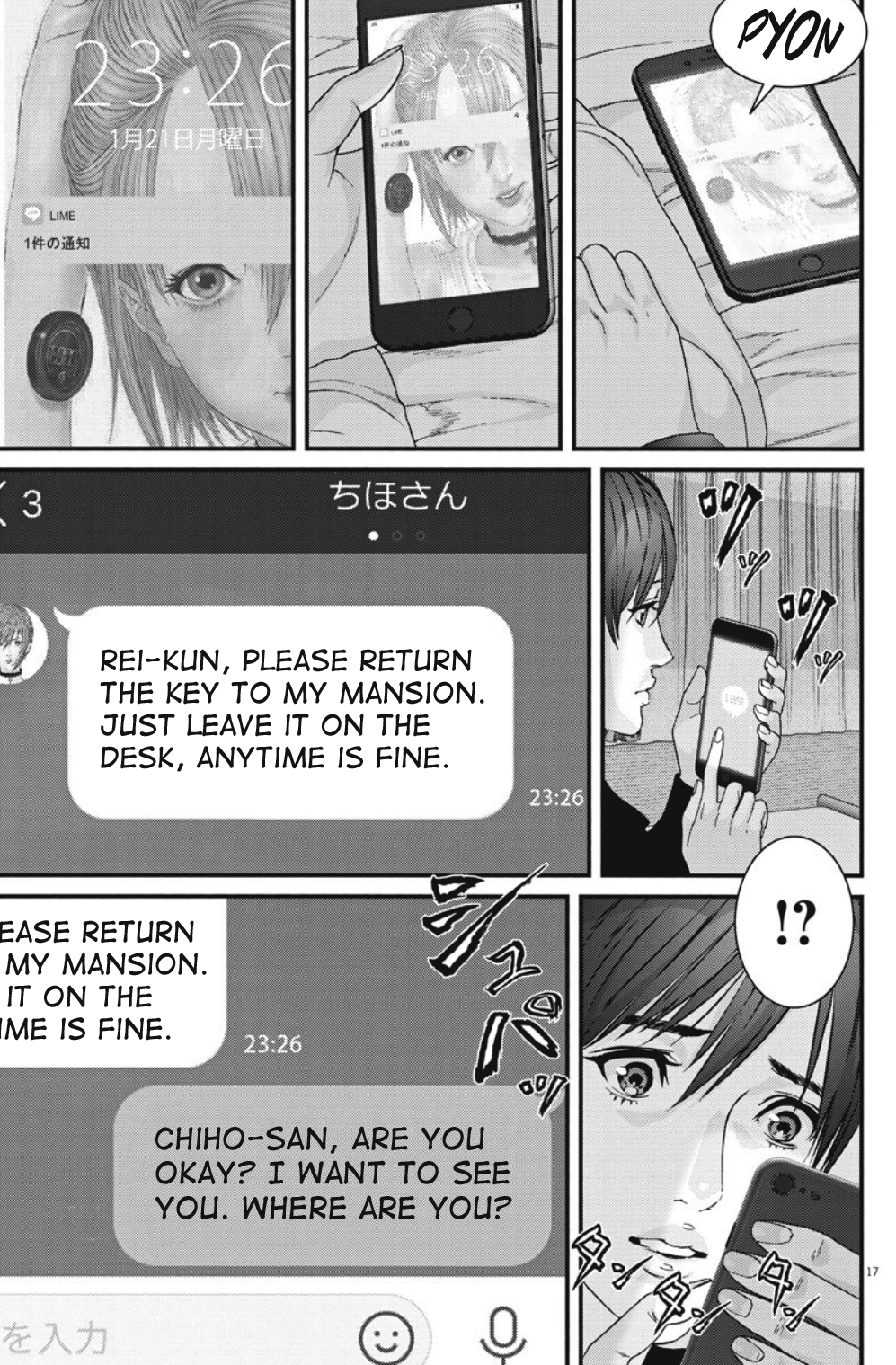 Page 17