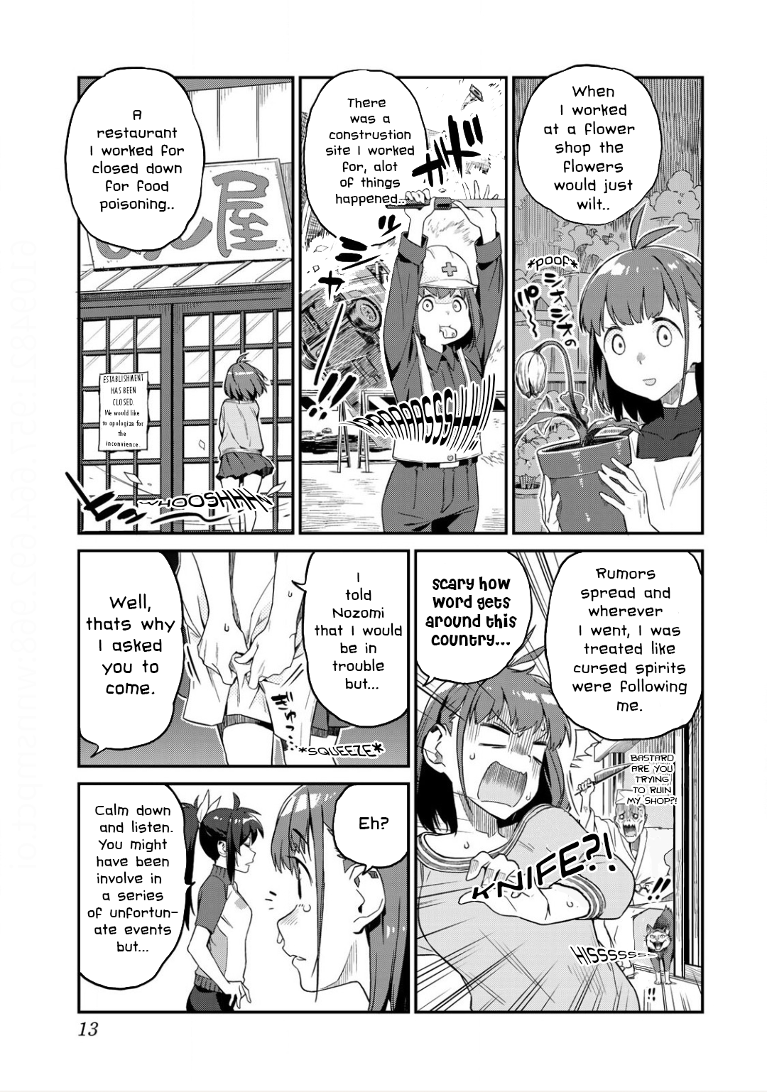 Page 13