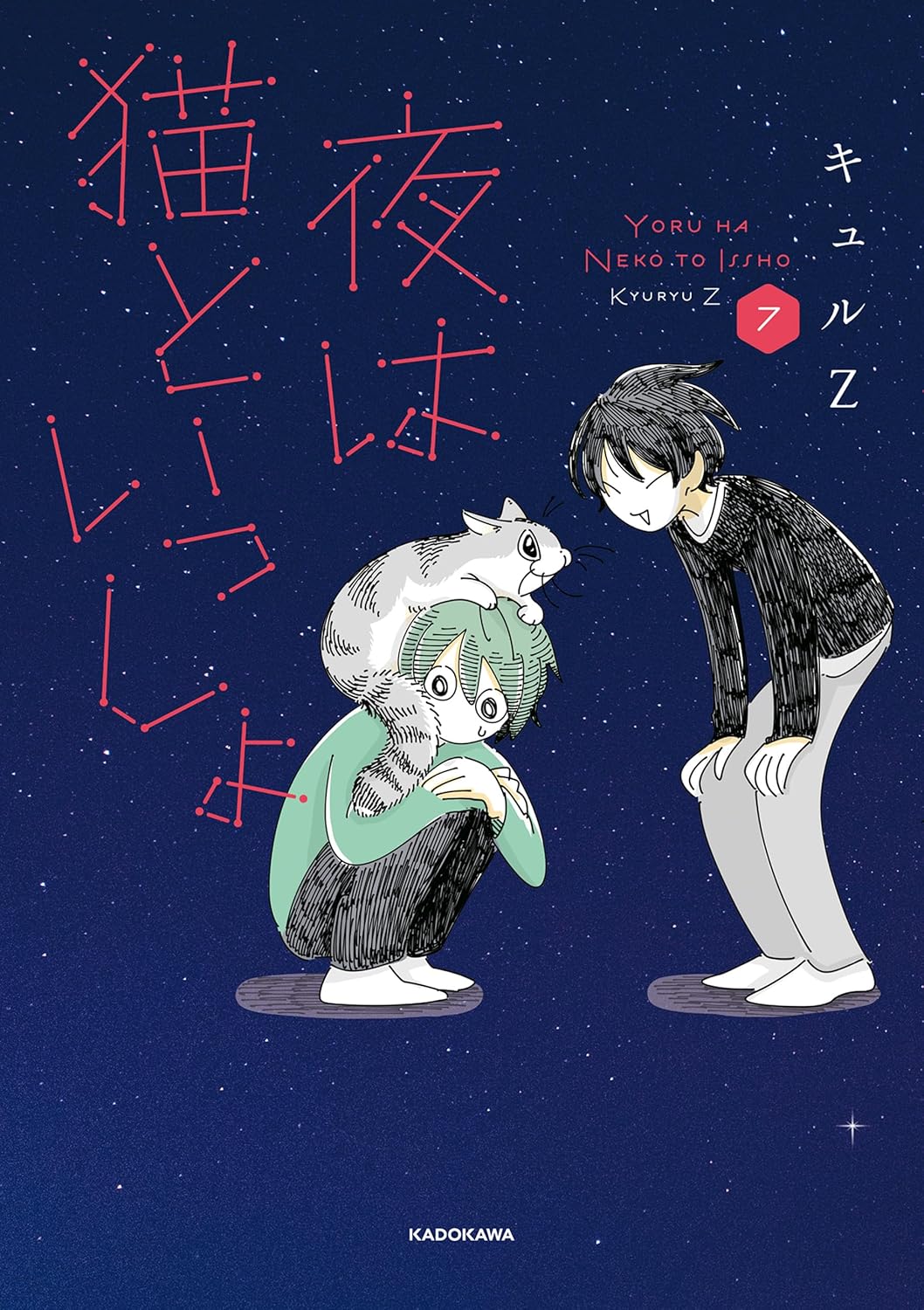 Nights with a Cat