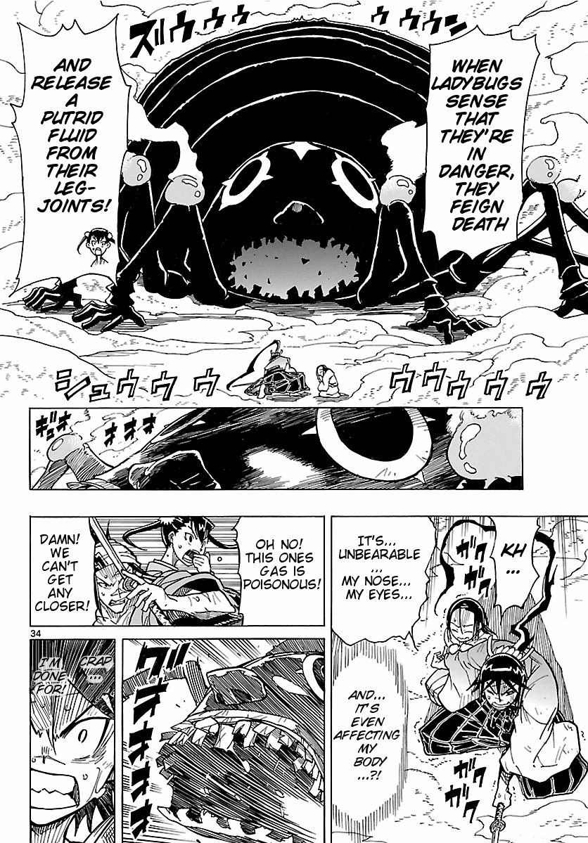 Page 34