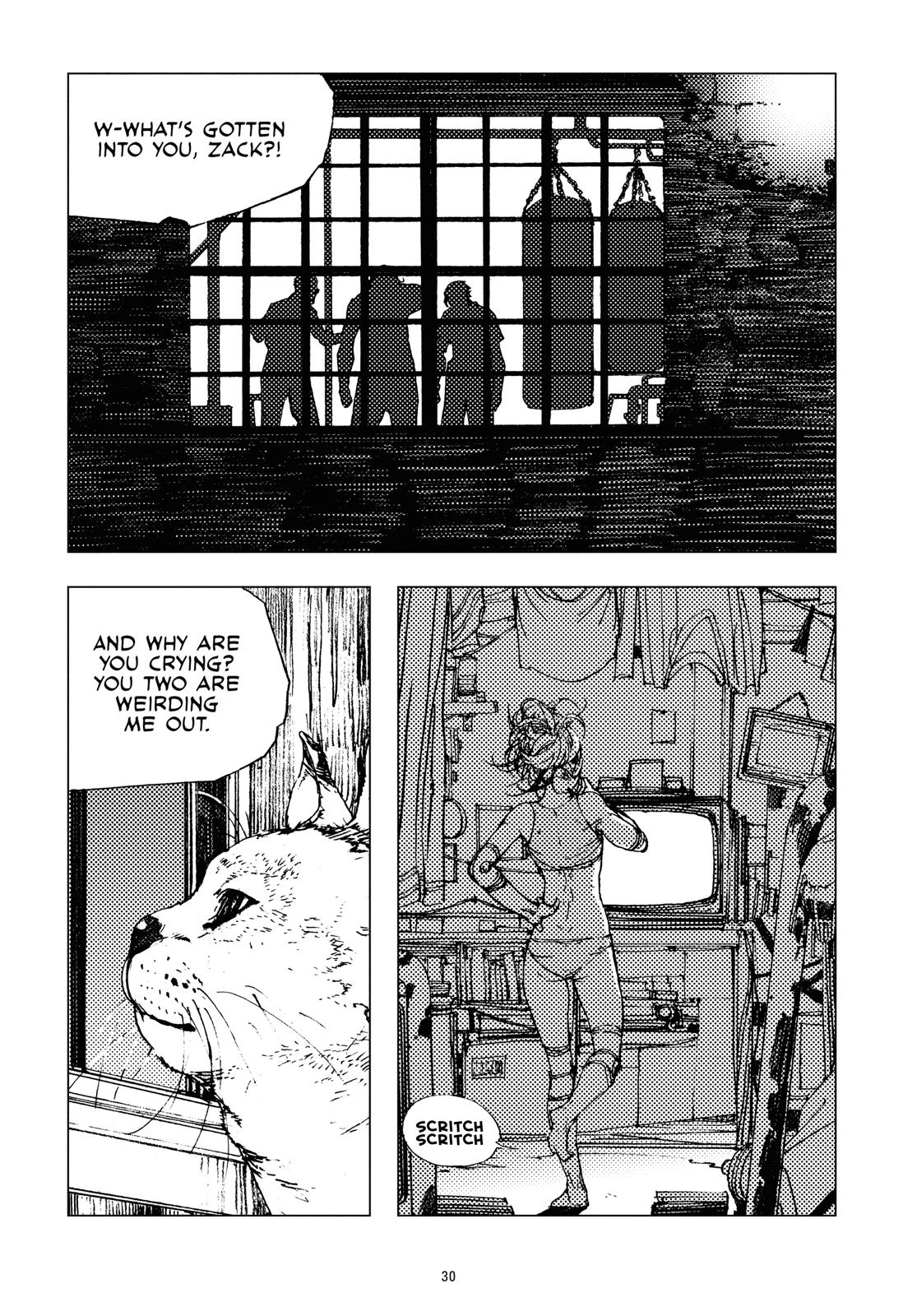 Page 30