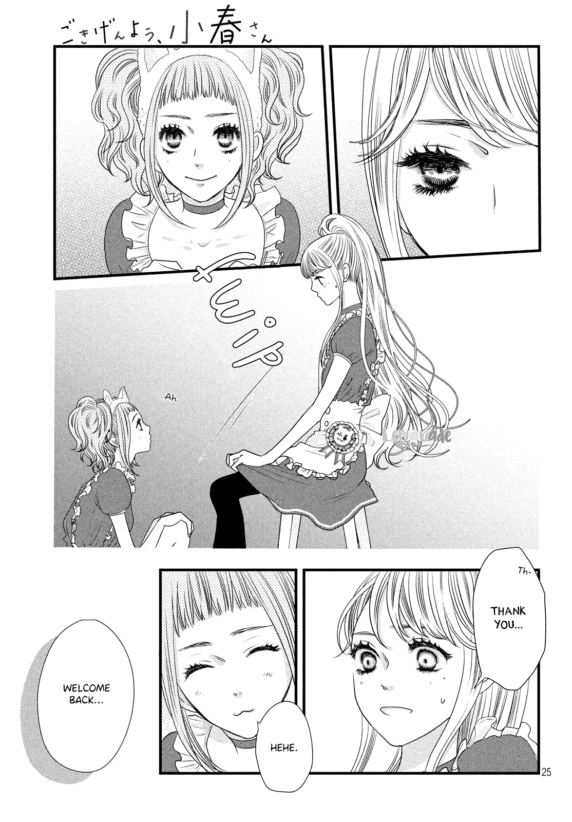 Page 25