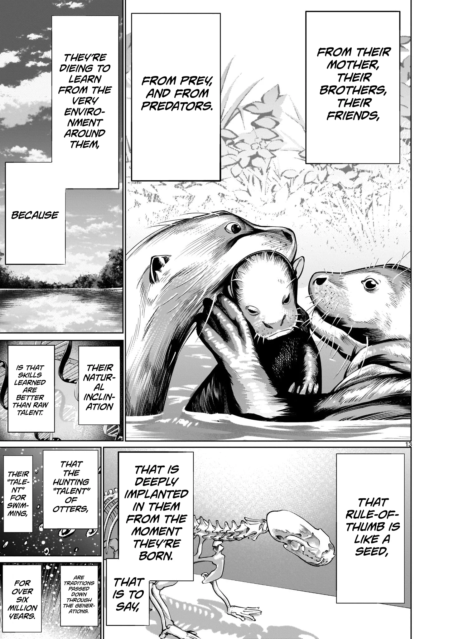 Page 13